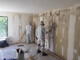 Best Emergency Mold Remediation  in Mauston, WI